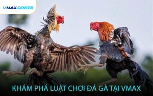 Khám Phá Luật Chơi Đá Gà Tại VMAX