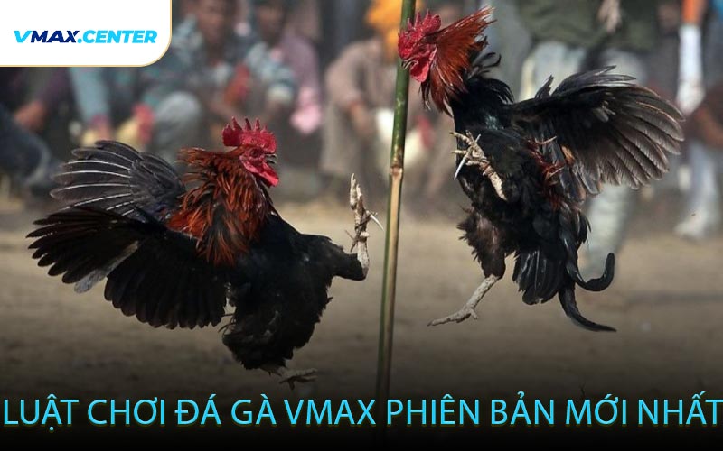 Luật Chơi Đá Gà VMAX Phiên Bản Mới Nhất