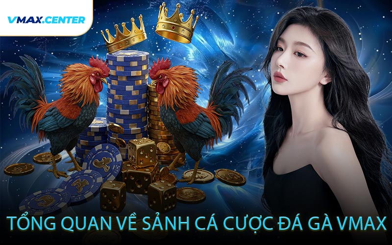 Tổng Quan Về Sảnh Cá Cược Đá Gà VMAX