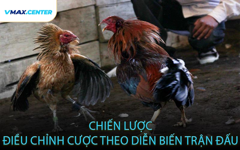 Chiến lược điều chỉnh cược theo diễn biến trận đấu