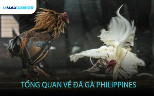 Tổng quan về đá gà Philippines